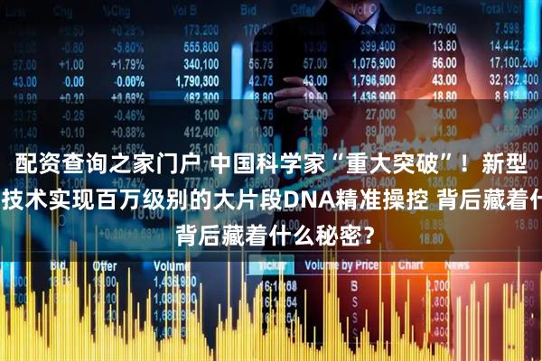 配资查询之家门户 中国科学家“重大突破”！新型基因编辑技术实现百万级别的大片段DNA精准操控 背后藏着什么秘密？